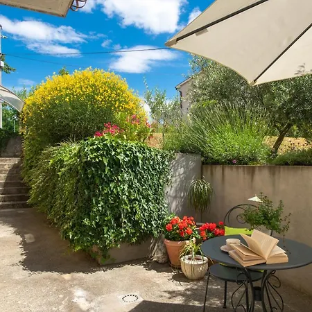 Alex * Labin (Istria)