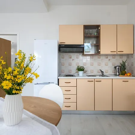 Alex Apartman